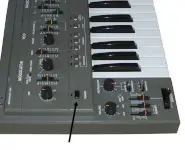 Roland Sh-101 Power switch Cap