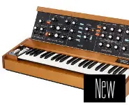 New Minimoog Model D