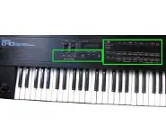 Roland D-10 D-110 Tact Switch